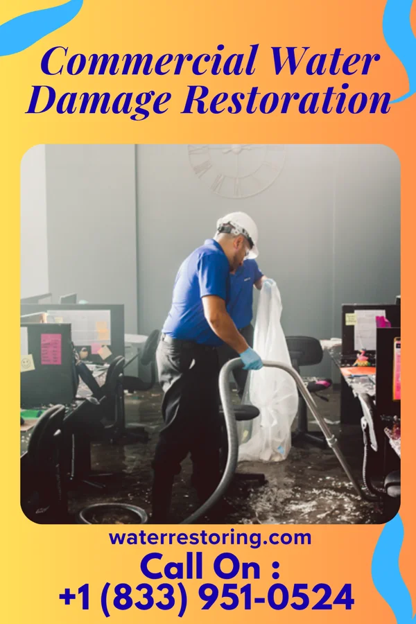 Commercial Water Damage Restoration in Mogul, NV