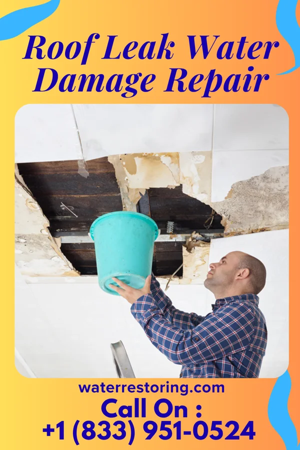 Roof Leak Water Damage Repair in Mogul, NV